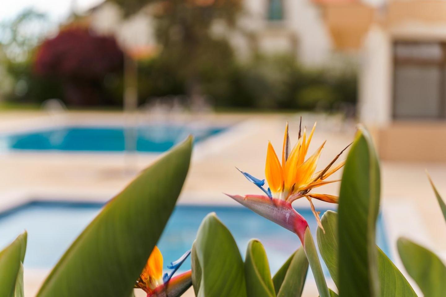 Sunny Getaway In Funchal Apartment Luaran gambar