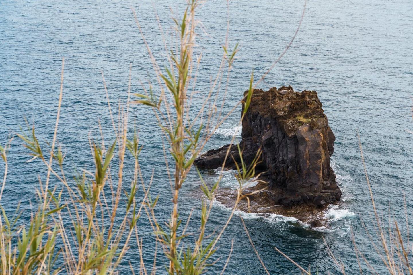 Sunny Getaway In Funchal Apartment Luaran gambar